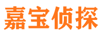 宁南侦探公司